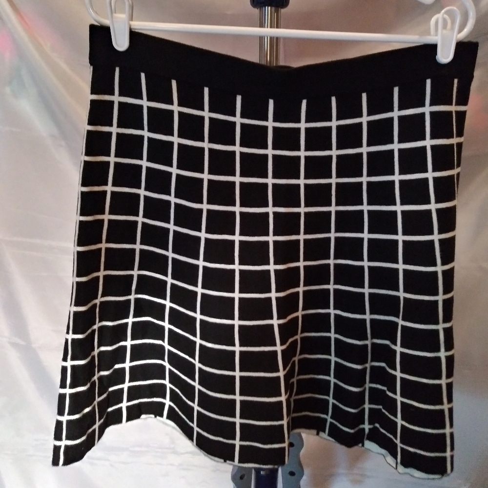 Ann Taylor Skirt